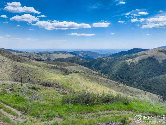 300 NW Shining Star Trl, Boulder, CO 80302 - photo 4