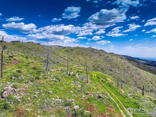 300 NW Shining Star Trl, Boulder, CO 80302 - photo 20