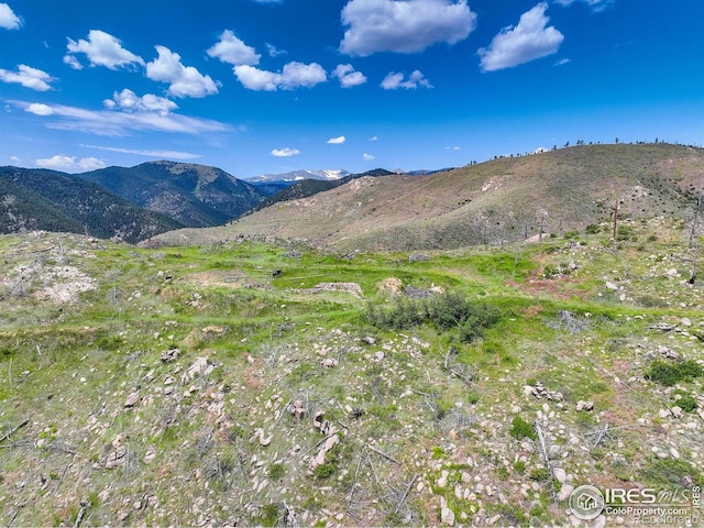 300 NW Shining Star Trl, Boulder, CO 80302 - photo 23