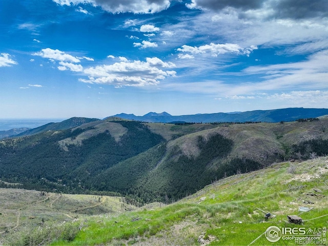 300 NW Shining Star Trl, Boulder, CO 80302 - photo 26