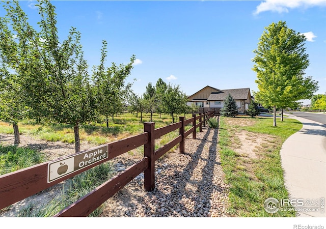 2051 Grain Bin Dr, Windsor, CO 80550 - photo 7