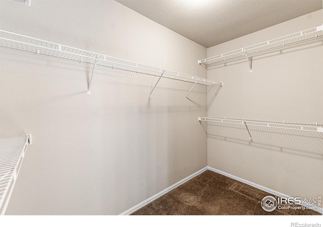 2051 Grain Bin Dr, Windsor, CO 80550 - photo 23