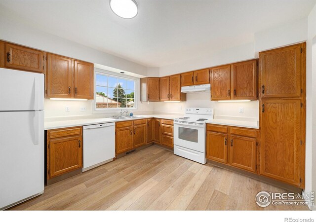 1448 Elmhurst Ct, Longmont, CO 80503 - photo 6