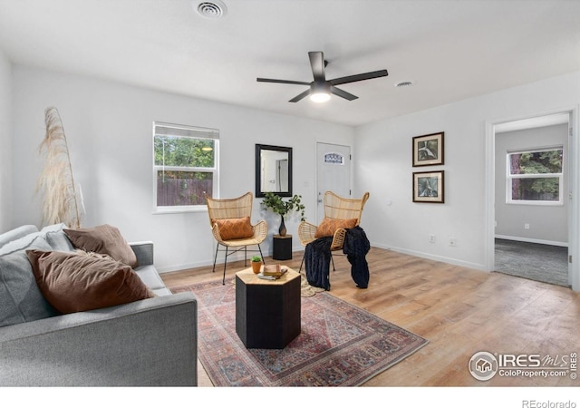 305 S Hollywood St, Fort Collins, CO 80521 - photo 4