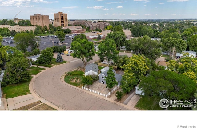 2420 14th Avenue Ct, Greeley, CO 80631 - photo 3