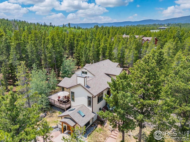 225 Indian Peaks Dr, Nederland, CO 80466 - photo 3