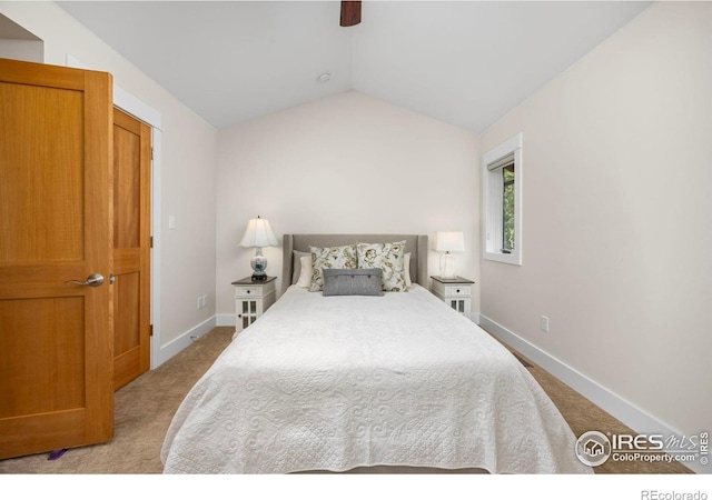 225 Indian Peaks Dr, Nederland, CO 80466 - photo 17