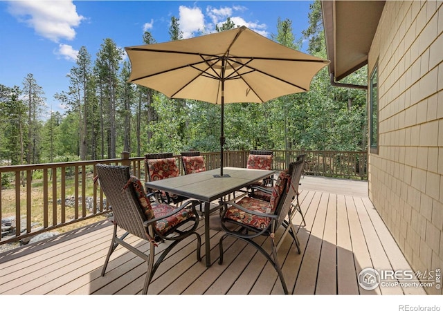 225 Indian Peaks Dr, Nederland, CO 80466 - photo 30