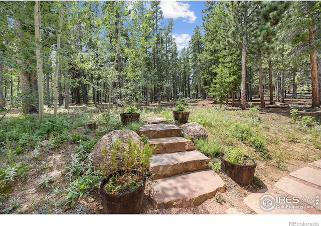225 Indian Peaks Dr, Nederland, CO 80466 - photo 31