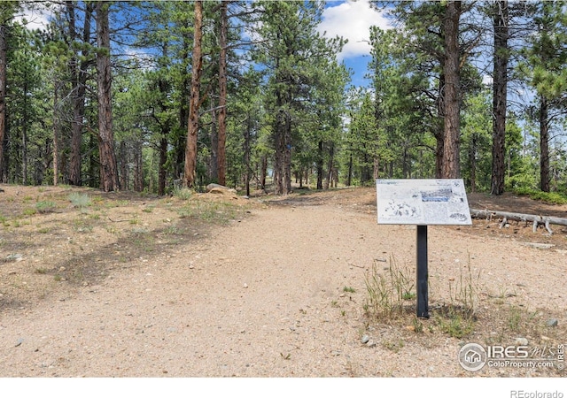 225 Indian Peaks Dr, Nederland, CO 80466 - photo 34