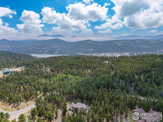 225 Indian Peaks Dr, Nederland, CO 80466 - photo 35