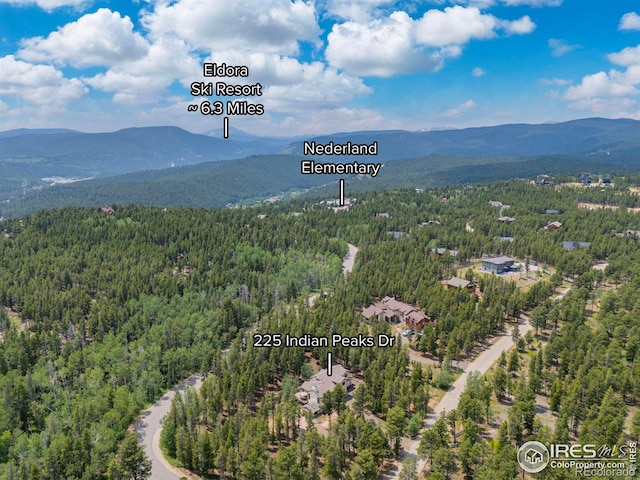 225 Indian Peaks Dr, Nederland, CO 80466 - photo 36
