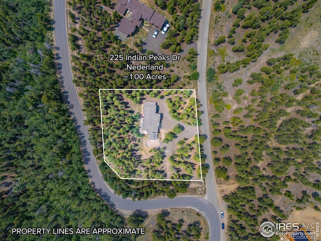 225 Indian Peaks Dr, Nederland, CO 80466 - photo 37
