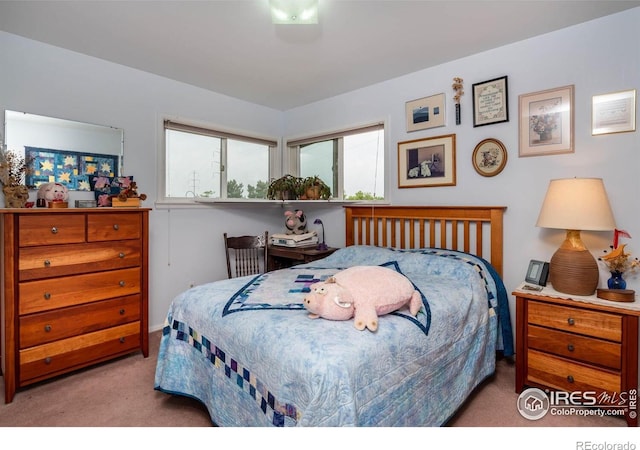 1147 Crestmoor Dr, Boulder, CO 80303 - photo 12