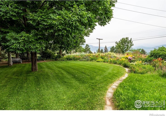 1147 Crestmoor Dr, Boulder, CO 80303 - photo 20