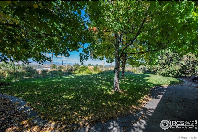 1147 Crestmoor Dr, Boulder, CO 80303 - photo 25