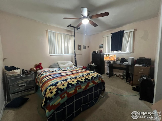 1127 25th Ave, Greeley, CO 80634 - photo 2