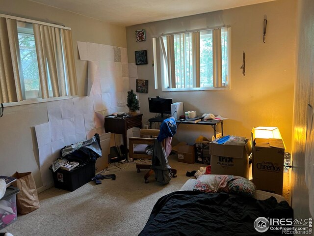 1127 25th Ave, Greeley, CO 80634 - photo 4