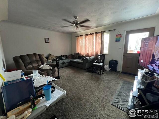 1127 25th Ave, Greeley, CO 80634 - photo 7