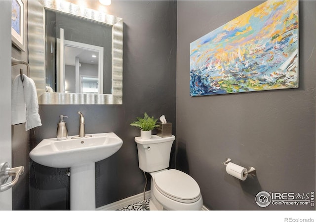 1443 Folsum Dr, Windsor, CO 80550 - photo 12