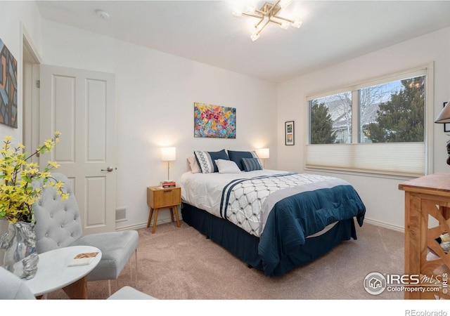 1443 Folsum Dr, Windsor, CO 80550 - photo 21