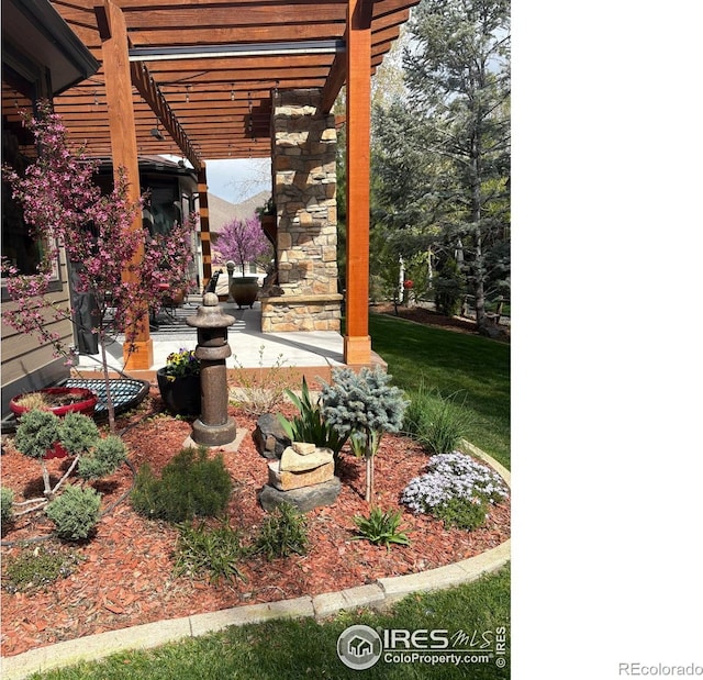 1443 Folsum Dr, Windsor, CO 80550 - photo 32