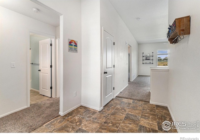 586 Cherryridge Dr, Windsor, CO 80550 - photo 2