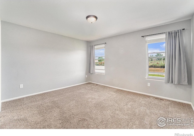 586 Cherryridge Dr, Windsor, CO 80550 - photo 13