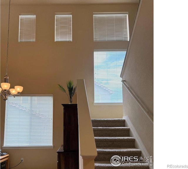 7407 Pimlico Dr, Windsor, CO 80550 - photo 13