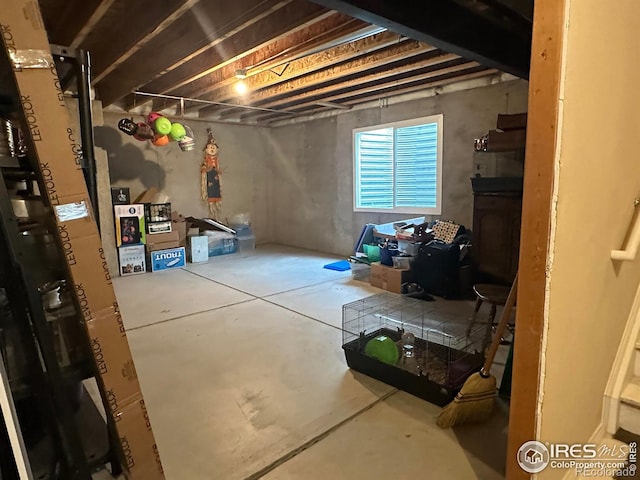 7407 Pimlico Dr, Windsor, CO 80550 - photo 22