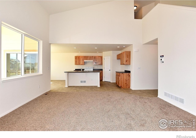 702 86th Ave, Greeley, CO 80634 - photo 11