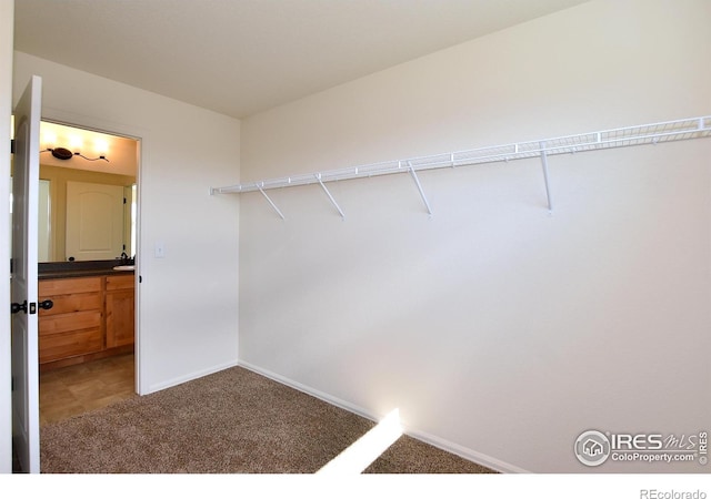 702 86th Ave, Greeley, CO 80634 - photo 29