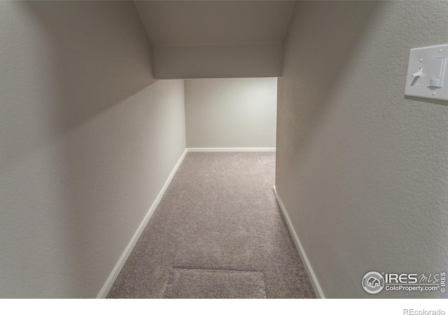 545 N Aria Way, Fort Collins, CO 80524 - photo 7