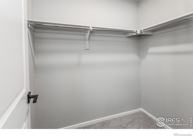 545 N Aria Way, Fort Collins, CO 80524 - photo 34