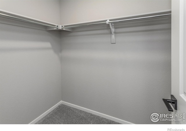 545 N Aria Way, Fort Collins, CO 80524 - photo 35