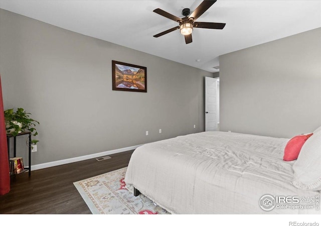 6333 Icegrass Ave, Loveland, CO 80538 - photo 23