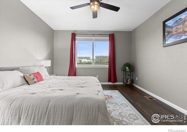 6333 Icegrass Ave, Loveland, CO 80538 - photo 29