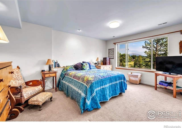700 Hill St, Boulder, CO 80302 - photo 17
