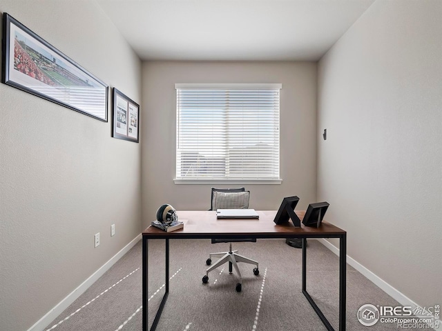 744 Wagon Trail Rd Unit 4, Fort Collins, CO 80524 - photo 19