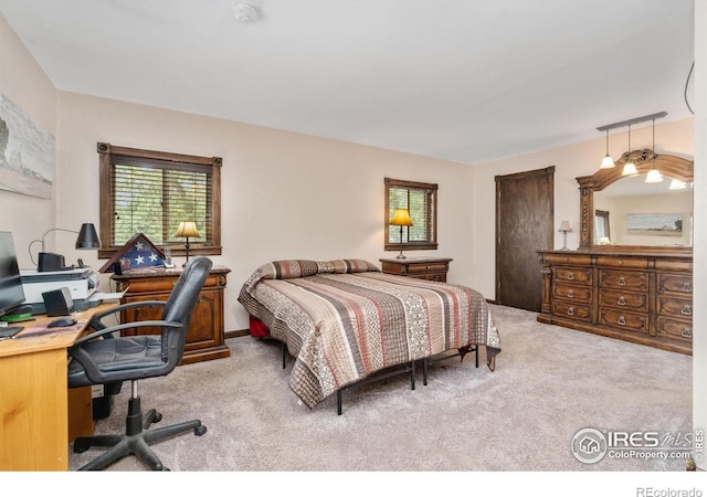 335 Mountain View Dr, Fort Collins, CO 80524 - photo 16