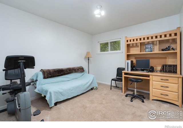 335 Mountain View Dr, Fort Collins, CO 80524 - photo 23