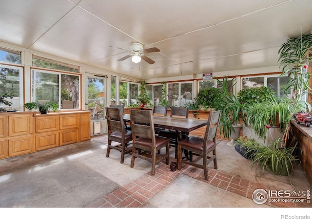 335 Mountain View Dr, Fort Collins, CO 80524 - photo 28