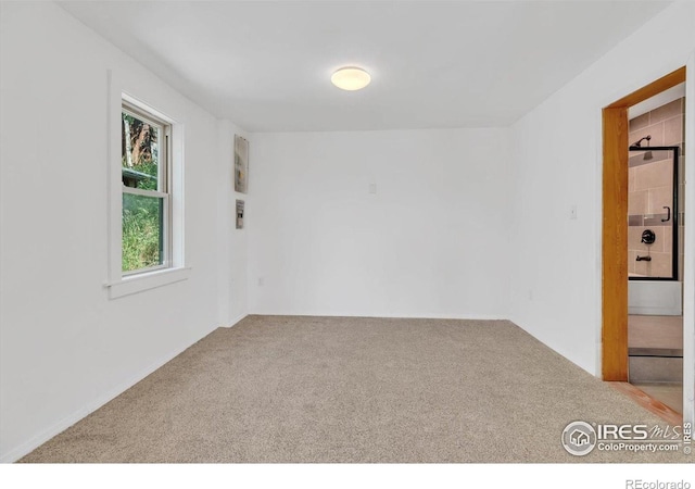 57 Nelson St, Ward, CO 80481 - photo 12
