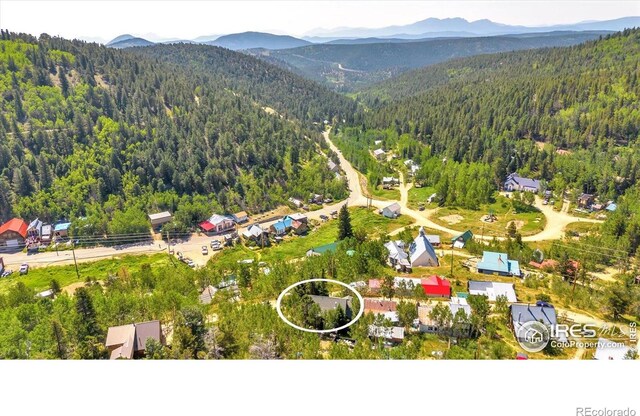 57 Nelson St, Ward, CO 80481 - photo 26