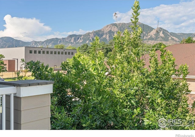 611 Tantra Dr, Boulder, CO 80305 - photo 22