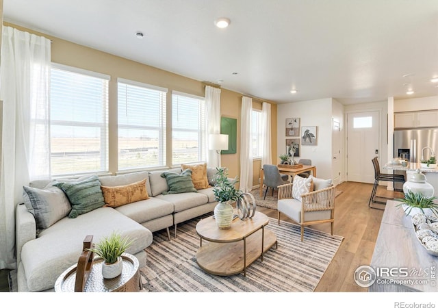 4667 Combine Ln, Johnstown, CO 80534 - photo 4
