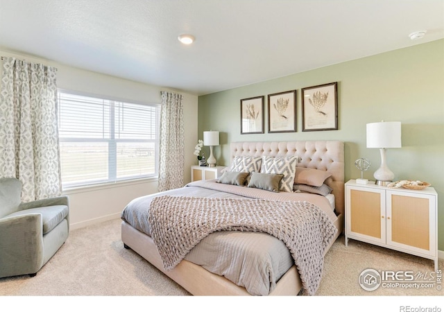 4667 Combine Ln, Johnstown, CO 80534 - photo 21