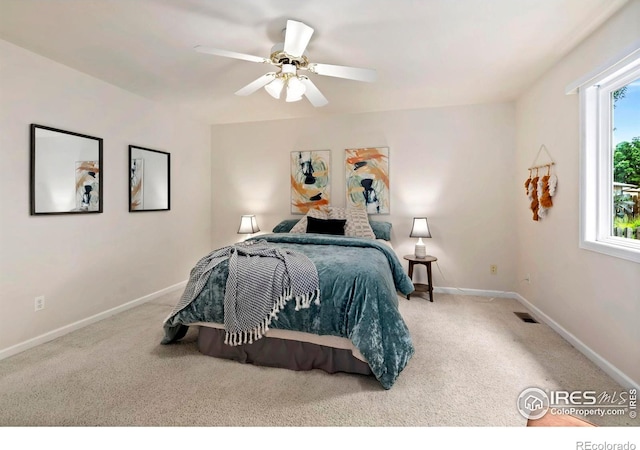 543 Dana Ct, Loveland, CO 80537 - photo 16