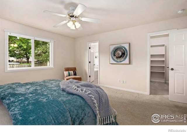 543 Dana Ct, Loveland, CO 80537 - photo 17