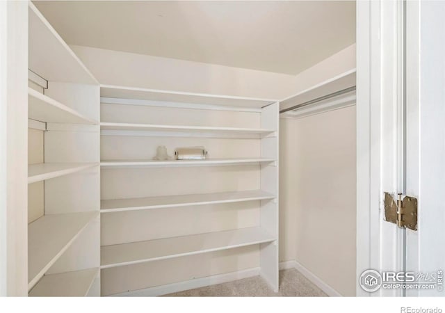 543 Dana Ct, Loveland, CO 80537 - photo 18